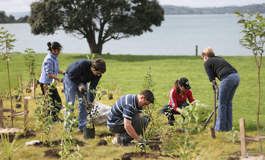 Photo: Trees That Count