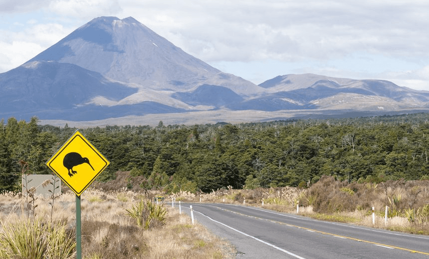 A roadside sign warning of Kiwi birds near the volcanic peak of Mount Ngauruhoe, North Island New Zealand. 
