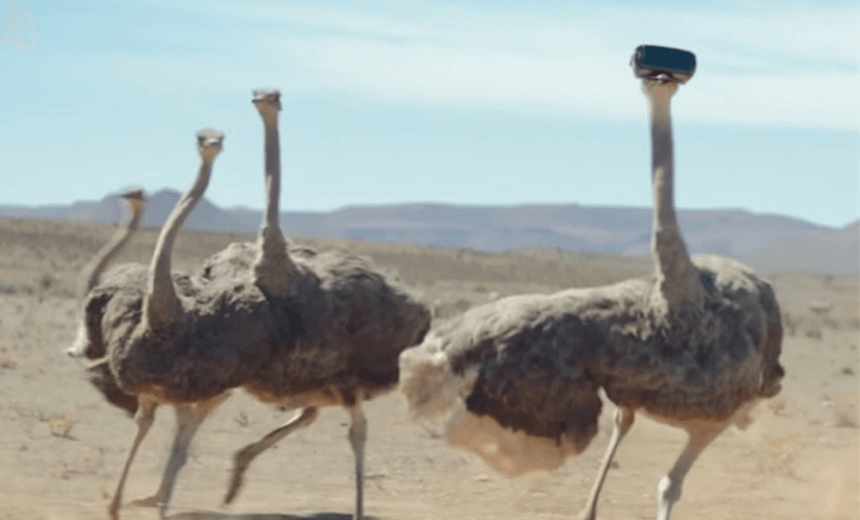 campaign_ostrich-20170330042631798