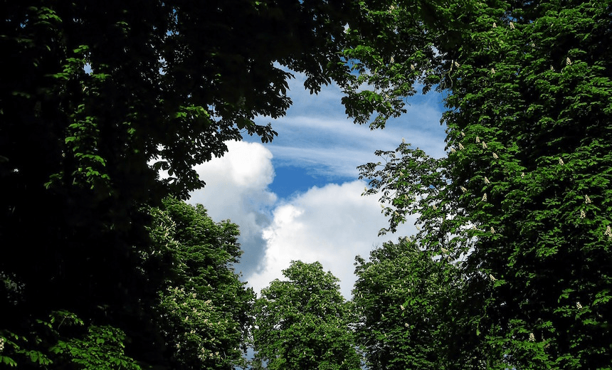 The Friday Poem: ‘Last words’ by Bill Manhire