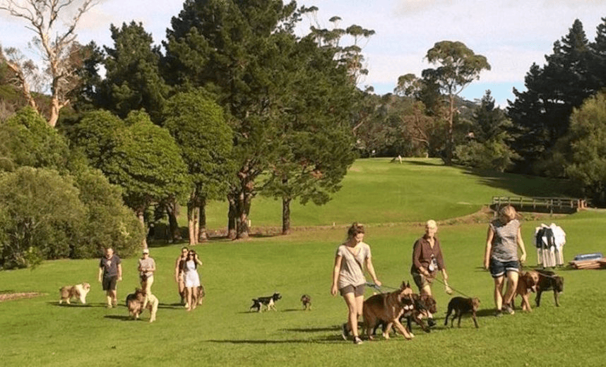 A Chamberlain Park for golf and more than golf? (Photo: Margi Watson) 
