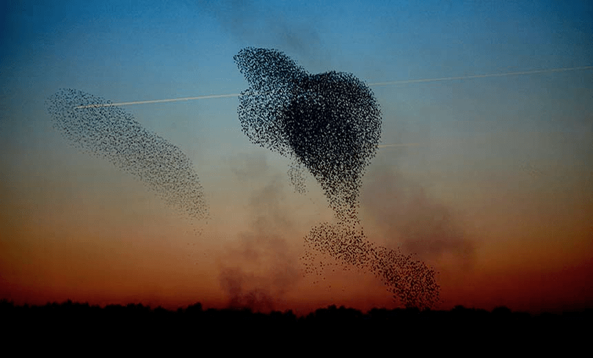 Wanted: poetry by writers not a day older than 25