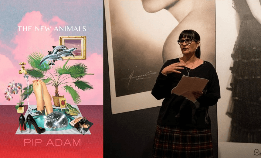 On the blind, mulish idiocy of reviewers and the genius of Pip Adam