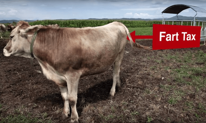 A screengrab from National’s ‘Let’s Tax This’ ad 
