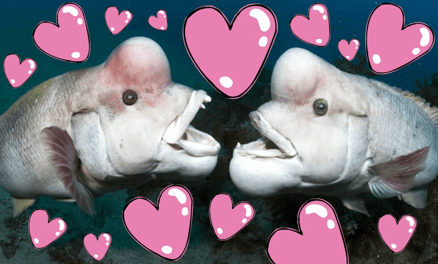 _98469982_14311367-high_res-blue-planet-ii