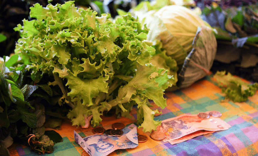 AUCKLAND, NEW ZEALAND – OCTOBER 11:  Locally grown vegatables for sale at the Matakana Famers Market in Matakana October 11, 2008 near Auckland, New Zealand. Farmers markets in New Zealand are rapidly growing in popularity as people seek more healthy, fresh and nutritious alternatives to supermarket food.  (Photo by Phil Walter/Getty Images) 
