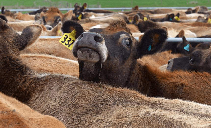 Photo: William West/Getty Images 
