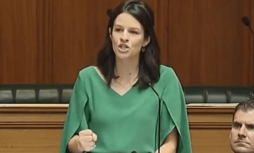 ‘My skills in reality TV hold me in good stead for my time in this House’: Erica Stanford’s maiden speech
