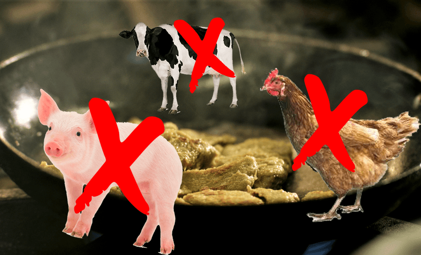 Meat without the animal. 
