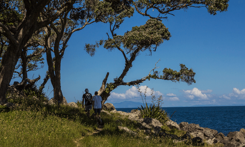 I can’t believe I’m telling you, but Ti Point Coastal Walkway is the my favourite spot north of Auckland (Photo: Simon Day).  
