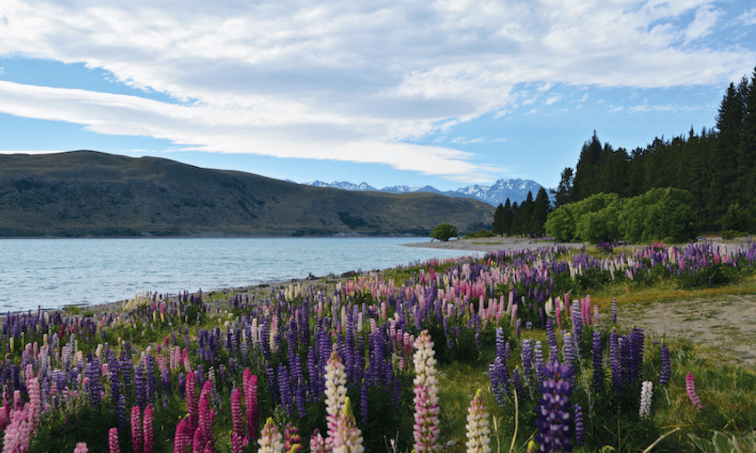 Lake Tekapo_pgs14-15