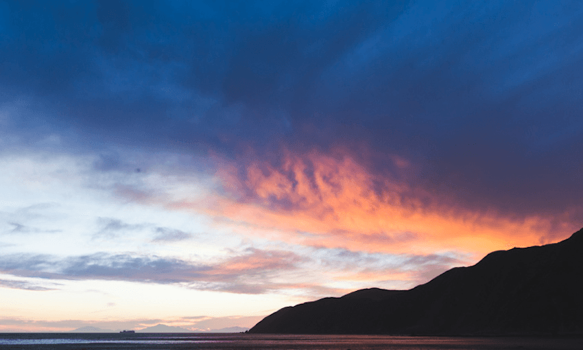 Unbeatable on a good day (Photo: Danny Rood/The Spinoff). 
