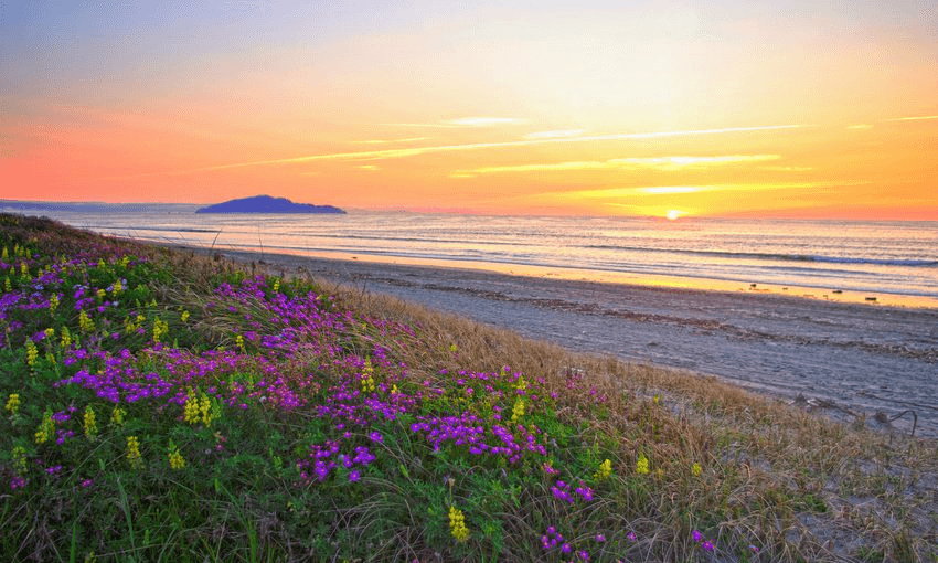 A repository of dangerous thinking: Otaki beach. Photo: Tom Raven/getty