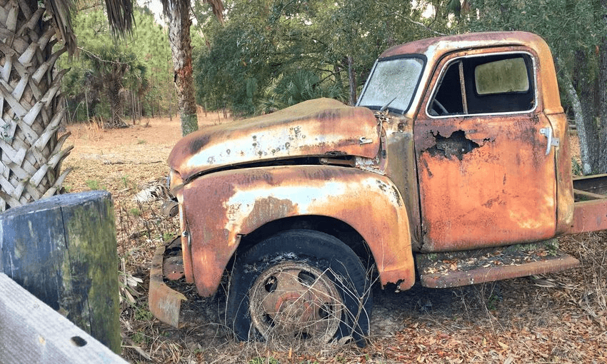 The Official Information Act, pictured here in a forest. Image: Getty 
