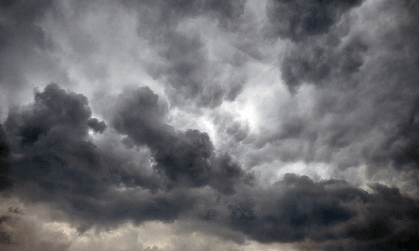 The Friday Poem: ‘To the trees of summer’ by Marty Smith