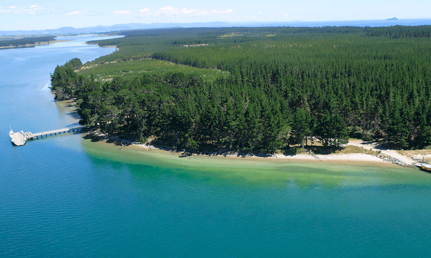 Matakana Island Tauranga kaitiaki iwi hapū Māori
