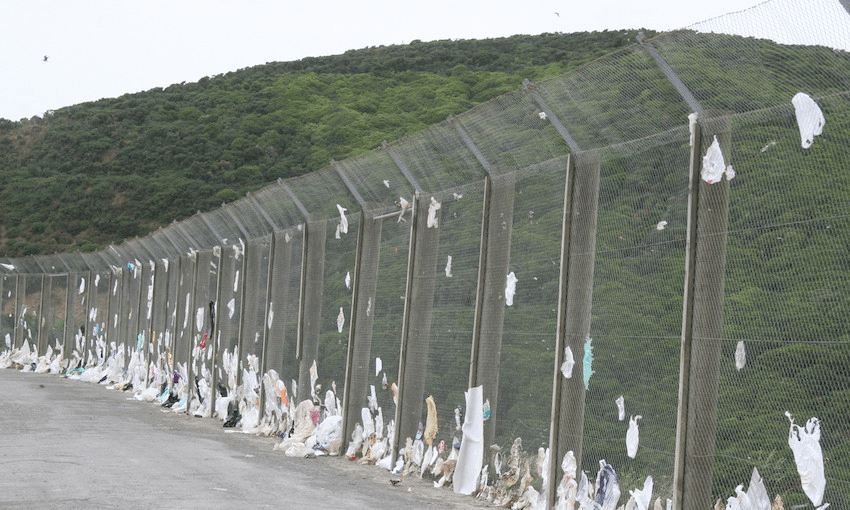 Catch them if you can. Image: Supplied 
