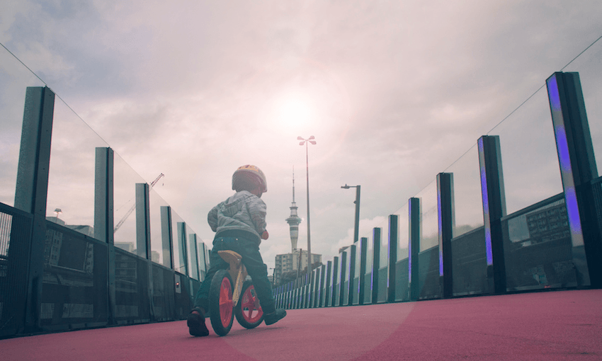 Cycling Light Path, central Auckland. Photo: Getty Images 

