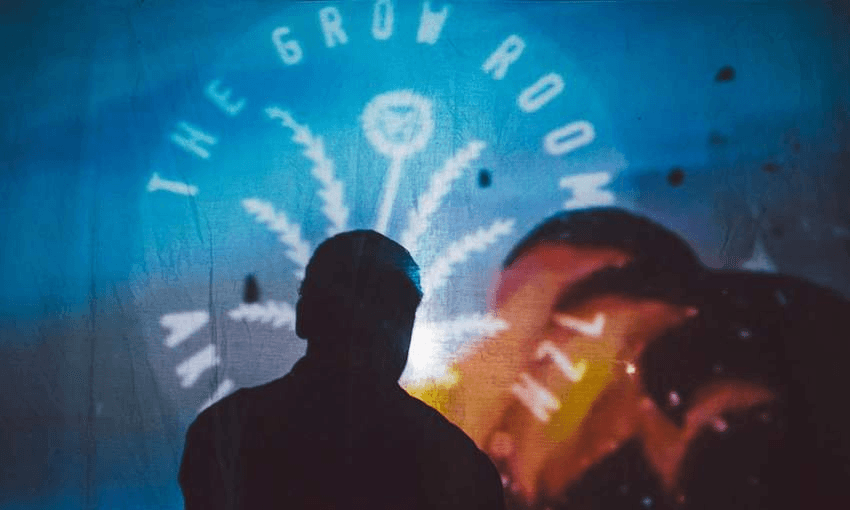 Title Image- IMAGE BY THE GROW ROOM