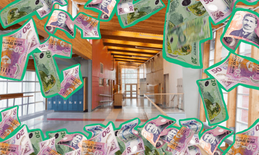 tax business money new zealand 
