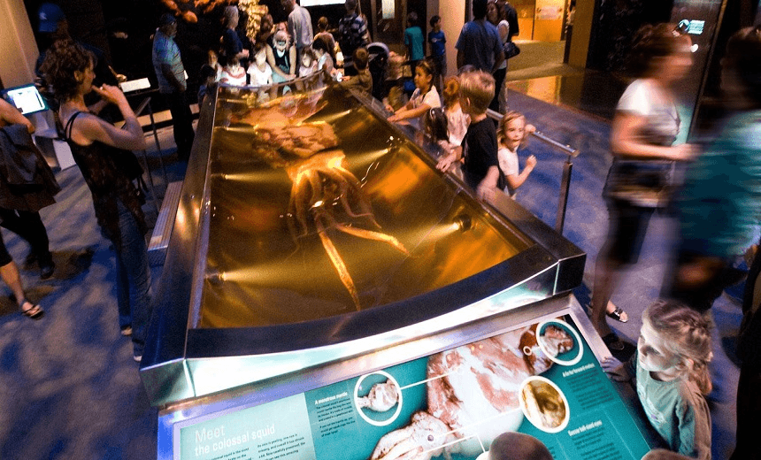 The Squid being adored by children 
