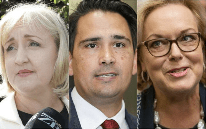 Judith Collins Amy Adams Simon Bridges Radio NZ RNZ
