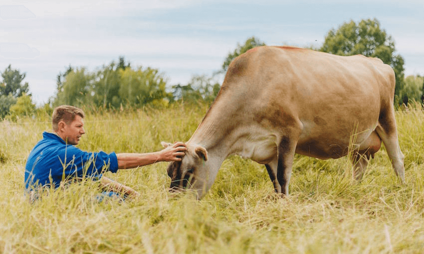 Founder Glen Herud with his cow 47 (Photo: Nancy Zhou)