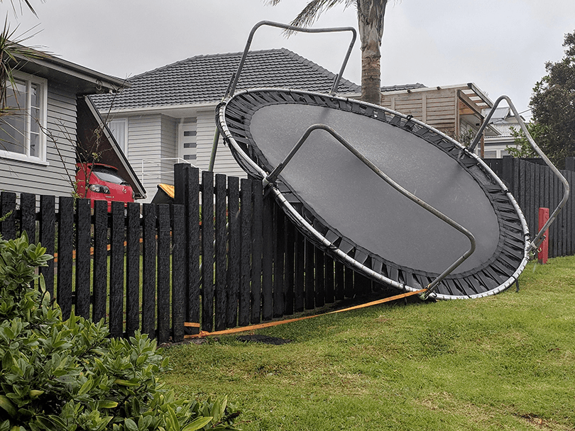 In Pictures: The Trampolines And Pets Of Auckland After The Storm | The ...