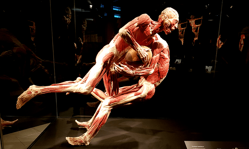 body vital feature image