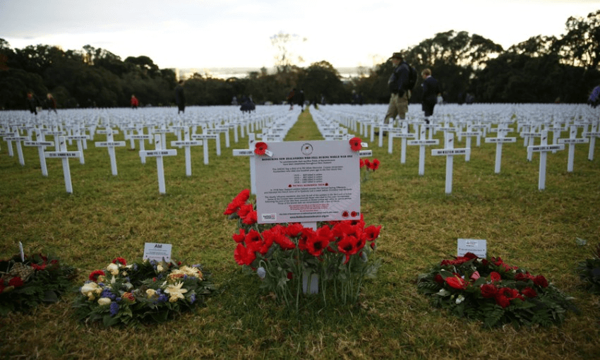 Crosses in rows to mark ANZAC Day at the Auckland Domain (Tom Furley, Radio NZ)  
