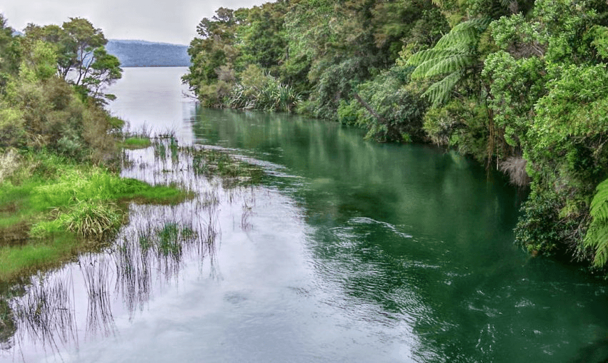 file-20180416-566-16cxzx5