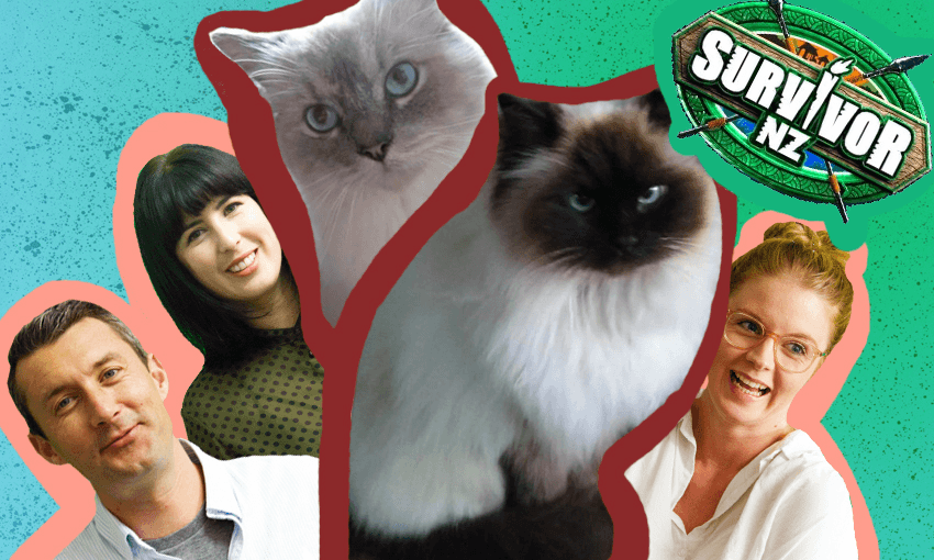 The Real Pod: Survivor NZ is back and these celebrity cats have a secret