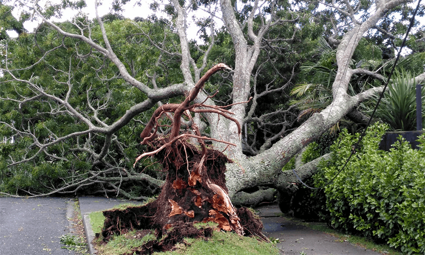 Photo: Vector Energy 
