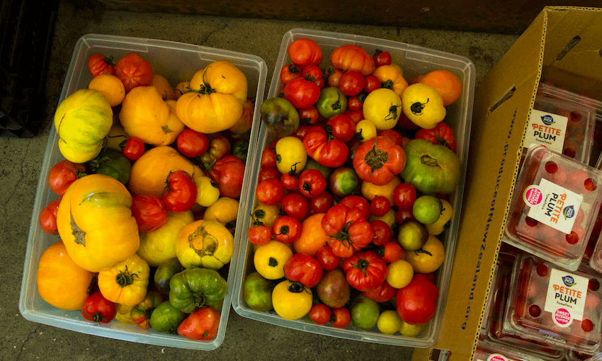 Ugly delicious: food that was destined for the bin, on it’s way to bellies (Image supplied).  
