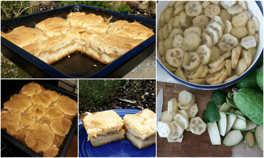Feijoa shortcake, left, and the magic ingredient, right 
