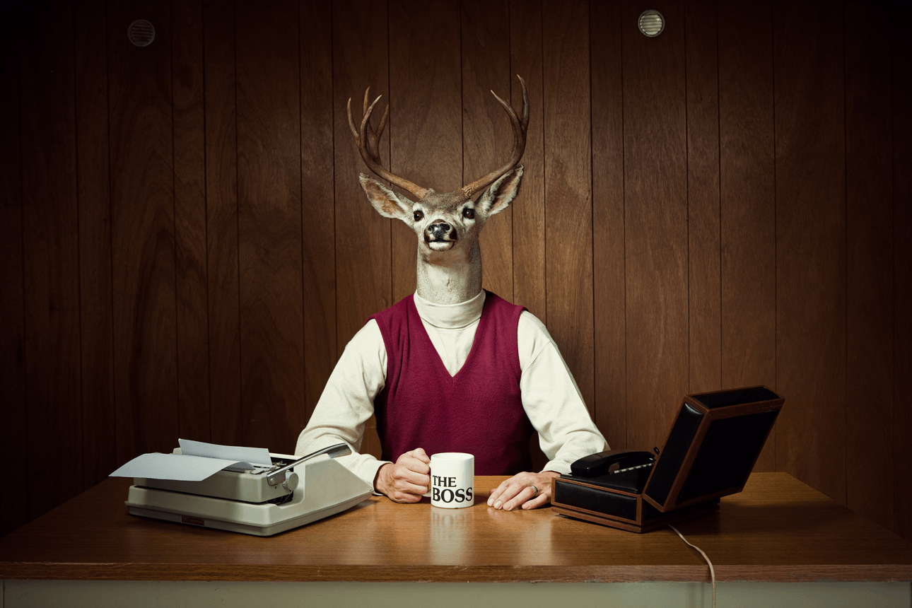 A deer contemplates R&D reform at while drinking a nice cup of tea. Photo: Getty 
