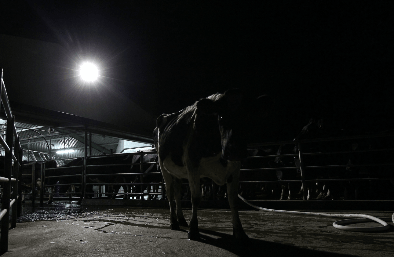 Photo: Sandra Mu/Getty Images