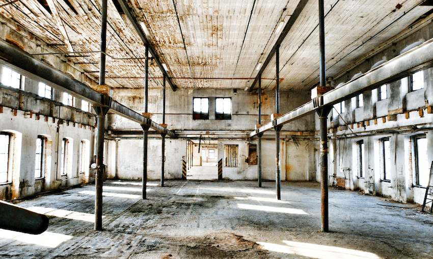 Can you hear the cicadas (Michael Kostka/Getty) 
