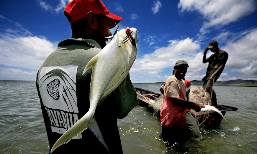 Fisherman holding his catch, Tikina Wai, Fiji.  Tikina Wai villagers catch fish just outside the Marine Protected Area (MPA) area,  a WWF Project. (Image: Brent Stirton / Getty Images) 
