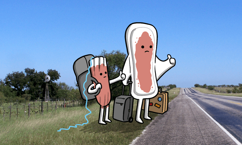 Illustrations by Toby Morris 
