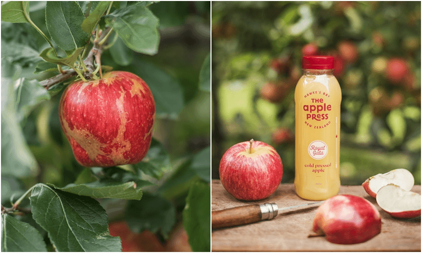The Apple Press takes ‘ugly’ fruit and makes juice instead (Photos: Supplied) 
