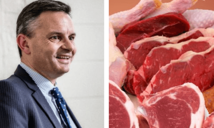 Green Party co–leader James Shaw and some meat, which he says we should probably eat less of  
