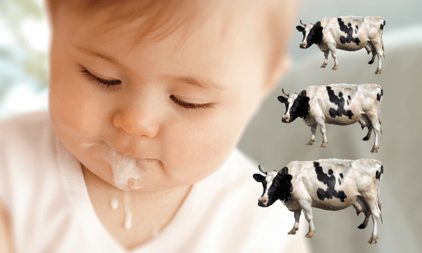 This image has not been edited 
