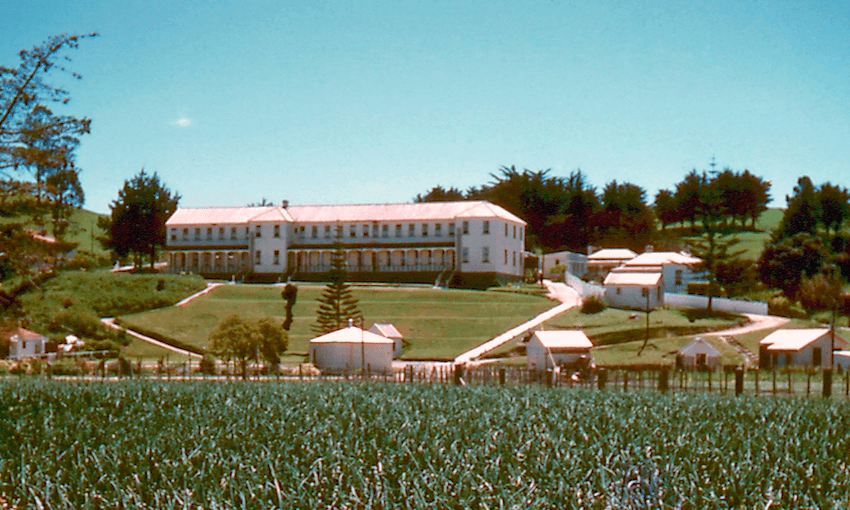 The alcohol rehab centre at Rotoroa Island in the 1960s