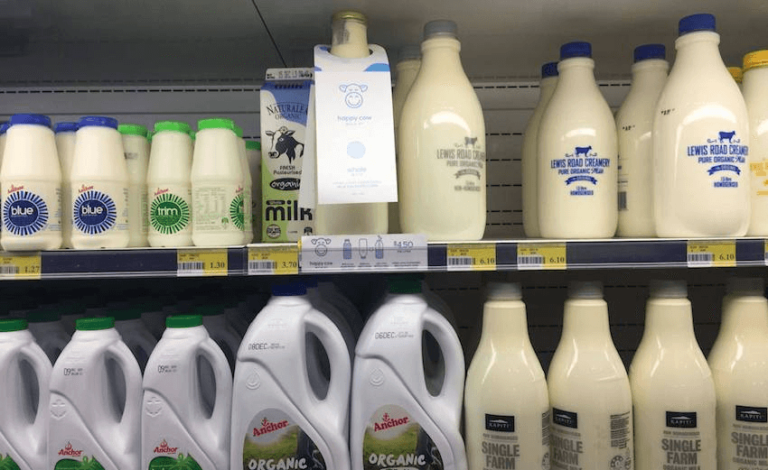 A bottle of Happy Cow Milk on a store shelf, March 2018 (before the company went bust). Photo: supplied 
