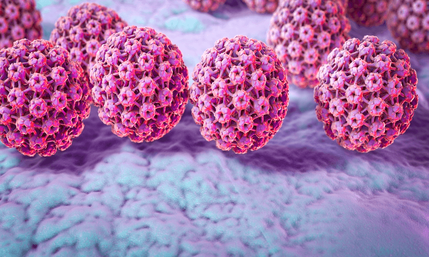 Human papilloma virus (HPV), computer illustration. HPV causes warts, which mostly occur on the hands and feet. Certain strains also infect the genitals. Although most warts are non-malignant (not cancerous), some strains of HPV have been associated with cancers, especially cervical cancer. (Photo: Getty Images) 

