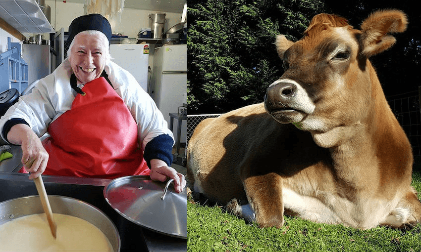 Biddy Fraser-Davies and one of the cows she hand-milked to make Cwmglyn Farmhouse Cheese (Photos: Supplied) 
