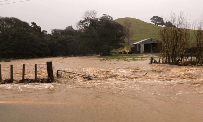 Flooding inundating a paddock in the Coromandel (Twitter – NIWA)  
