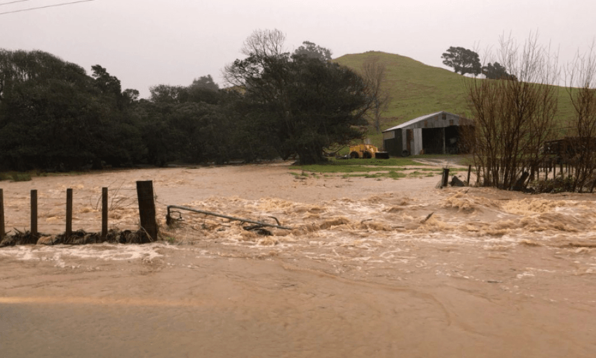 Flooding inundating a paddock in the Coromandel (Twitter – NIWA)