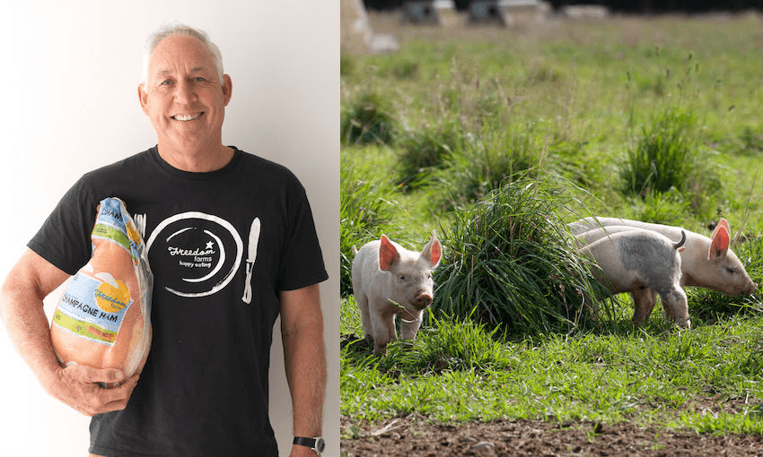 Freedom Farms co-founder Gregor Fyfe with one of his company’s hams, plus some happy pigs (Photos: Supplied) 
